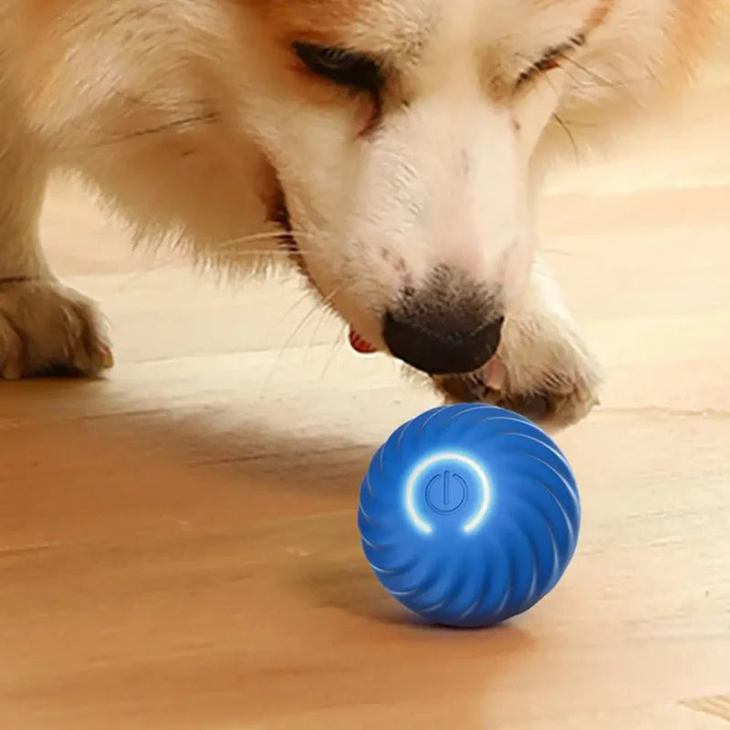 Automatisches Interaktives Hundespielzeug – RolliSpiel