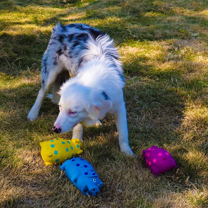 Grunzendes Schwein - Hundespielzeug