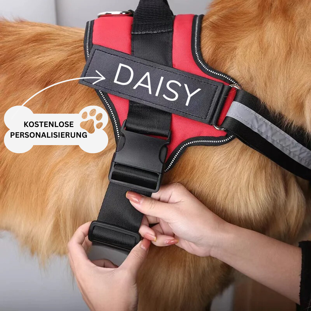 Personalisiertes Anti-Zug Hundegeschirr