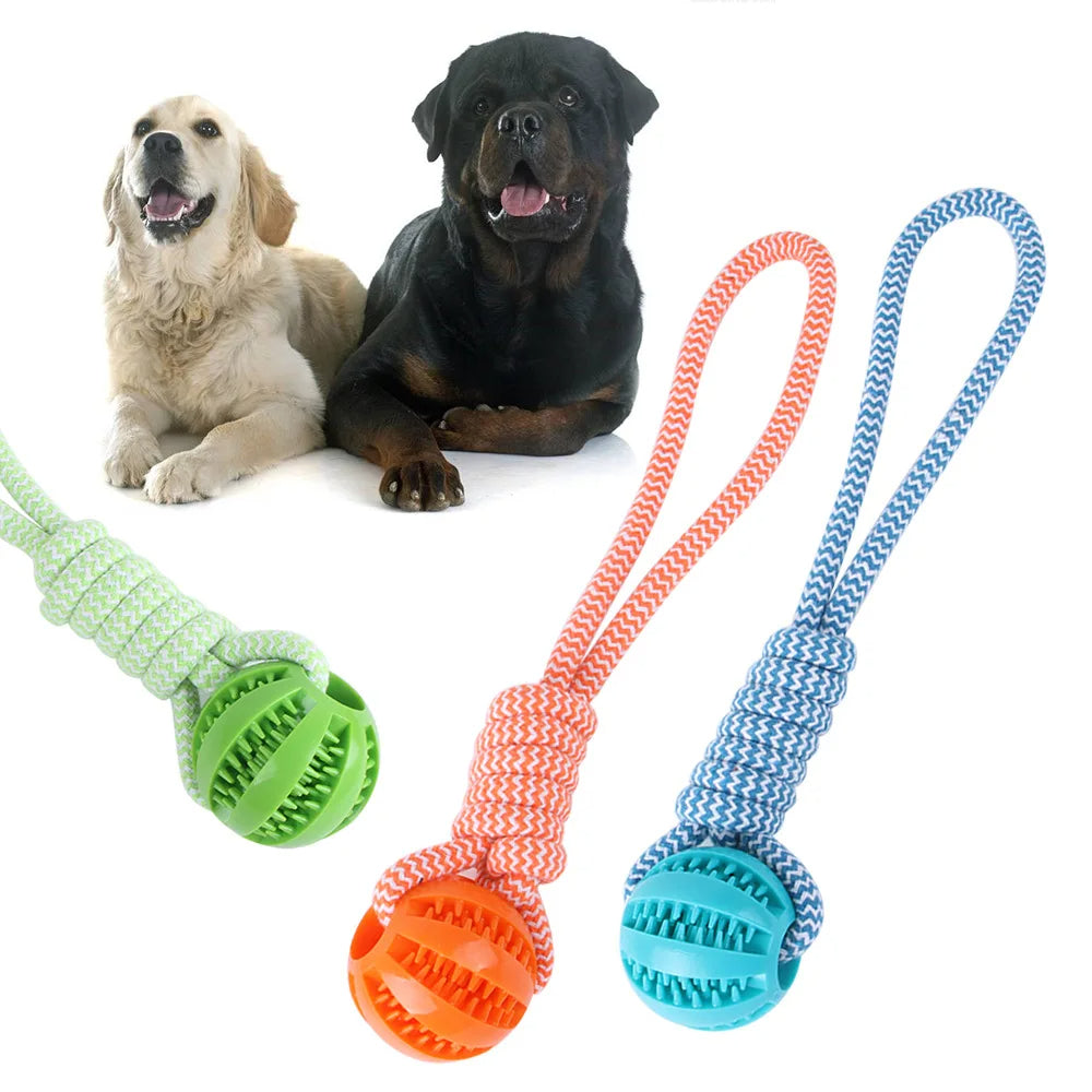 Hunde Leckerli Kauball zur Zahnreinigung