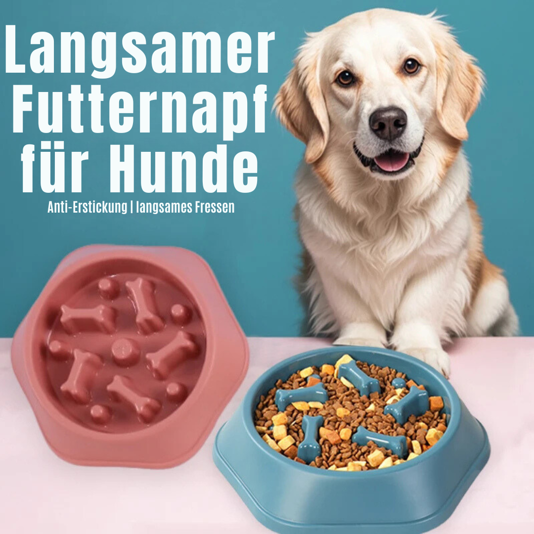 Langsam Essen Futterstation für Hunde