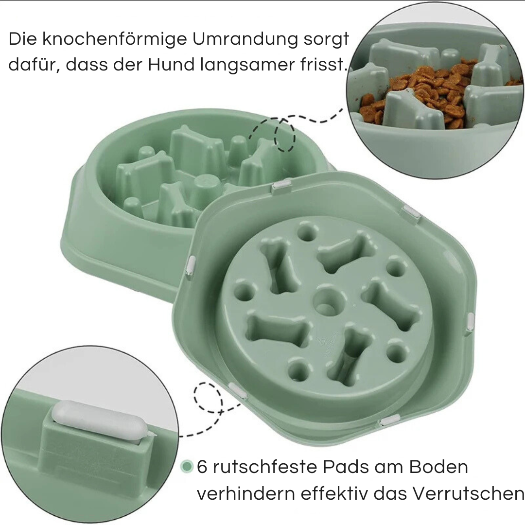 Langsam Essen Futterstation für Hunde