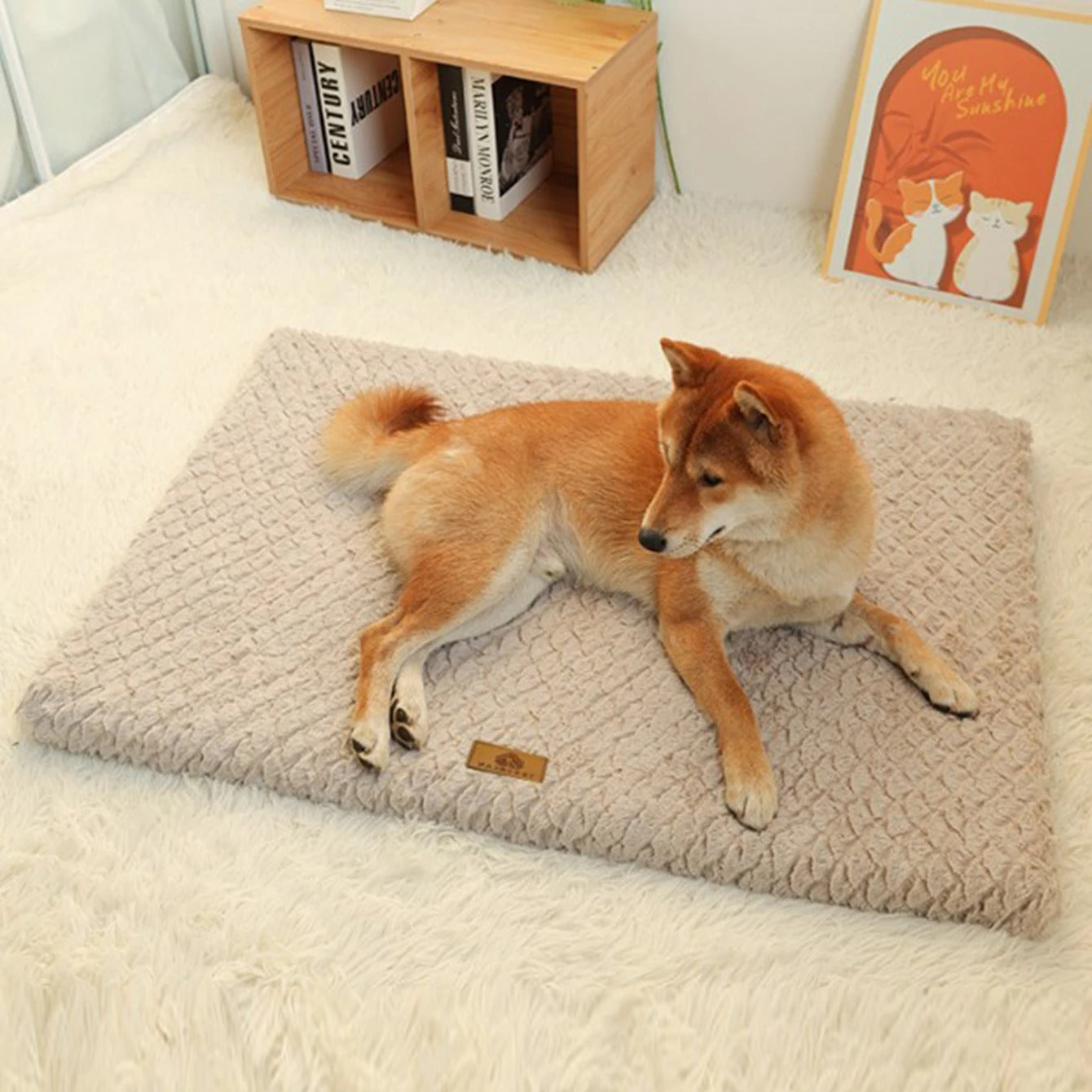 KomfortPfote Hundematte