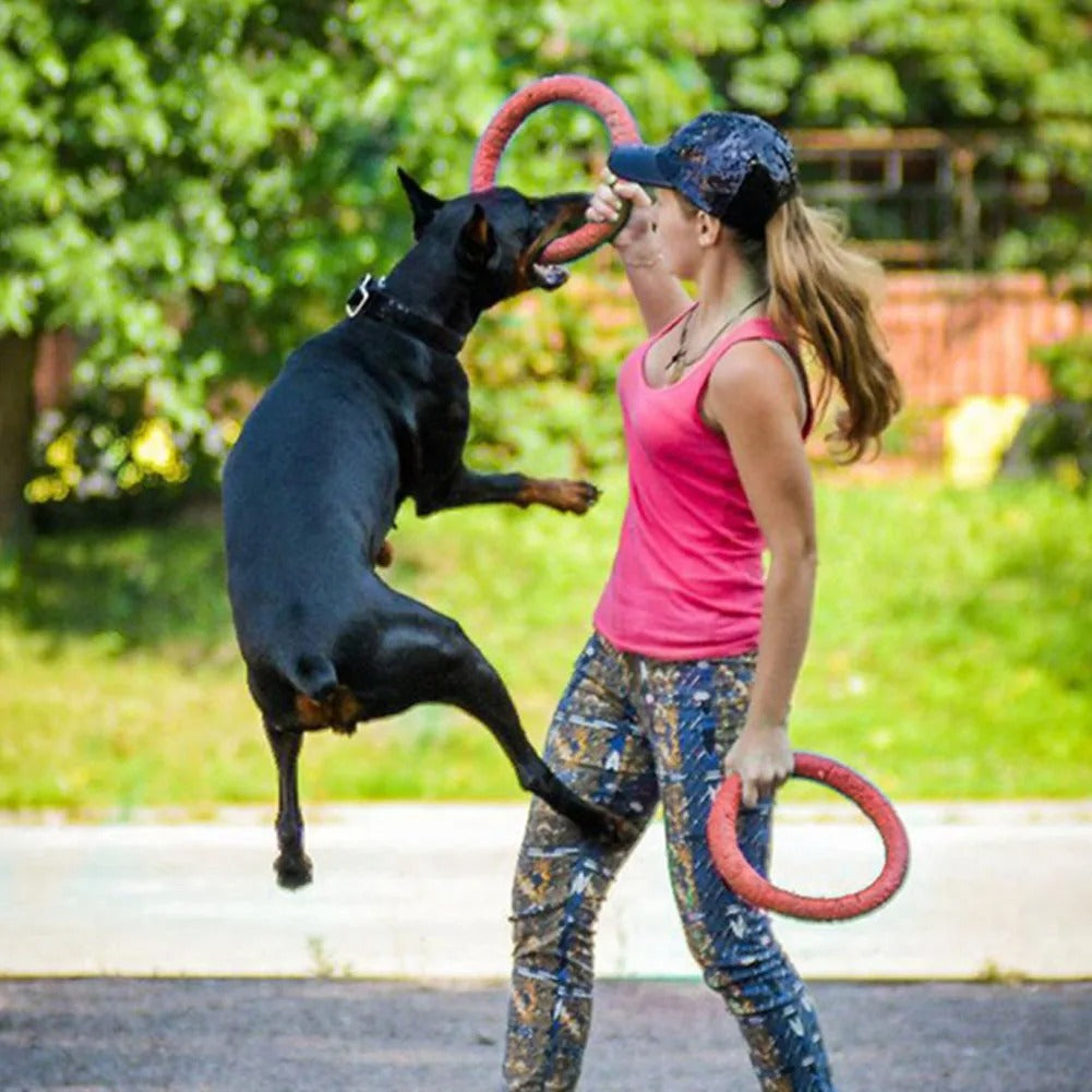 Schwimmender Wasser-Hundespielzeug-Trainingsring