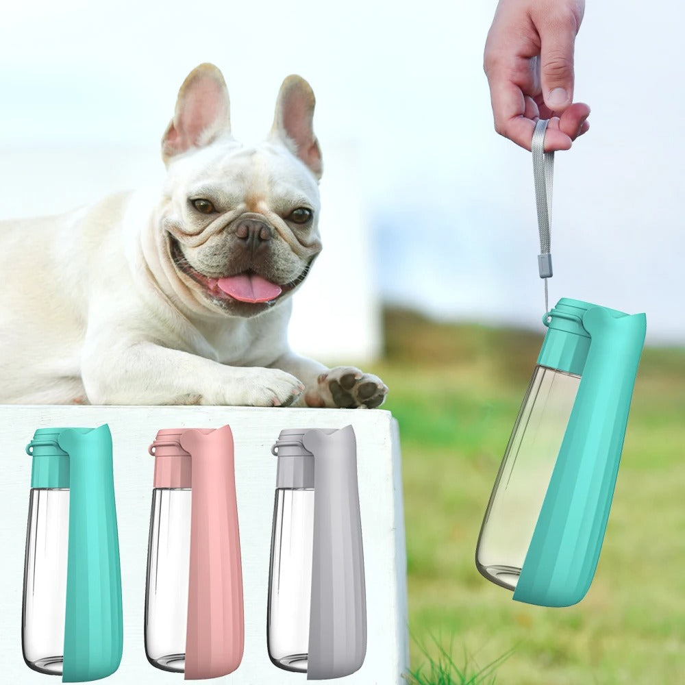 Tragbare Hunde-Wasserflasche Dispenser