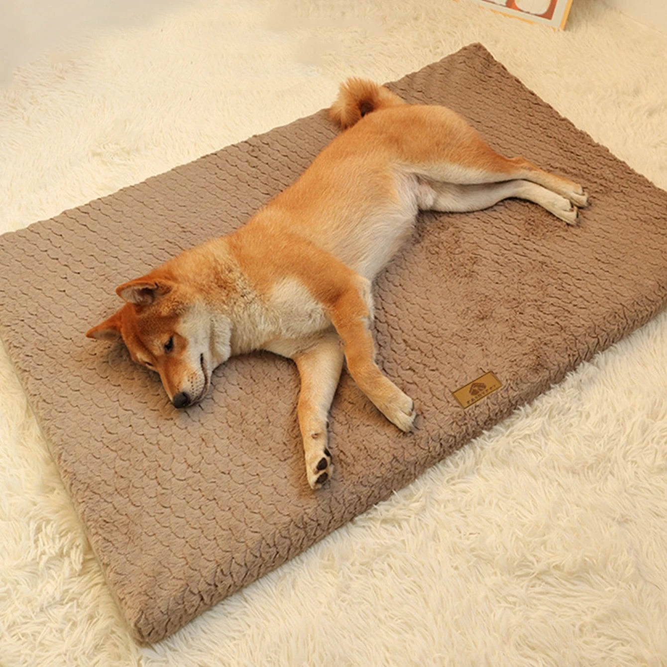 KomfortPfote Hundematte