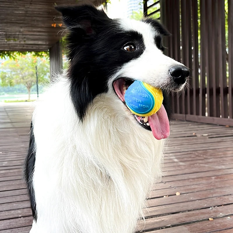 Weiches TPR Hundespielzeug