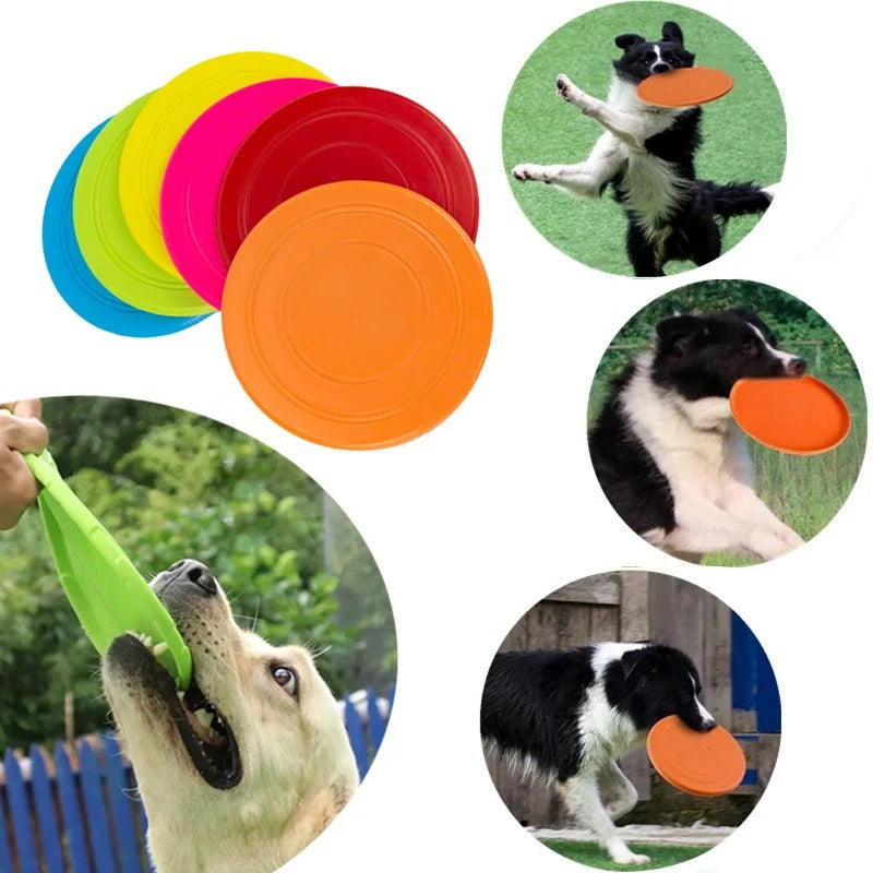 Fliegende Scheiben Hundespielzeug
