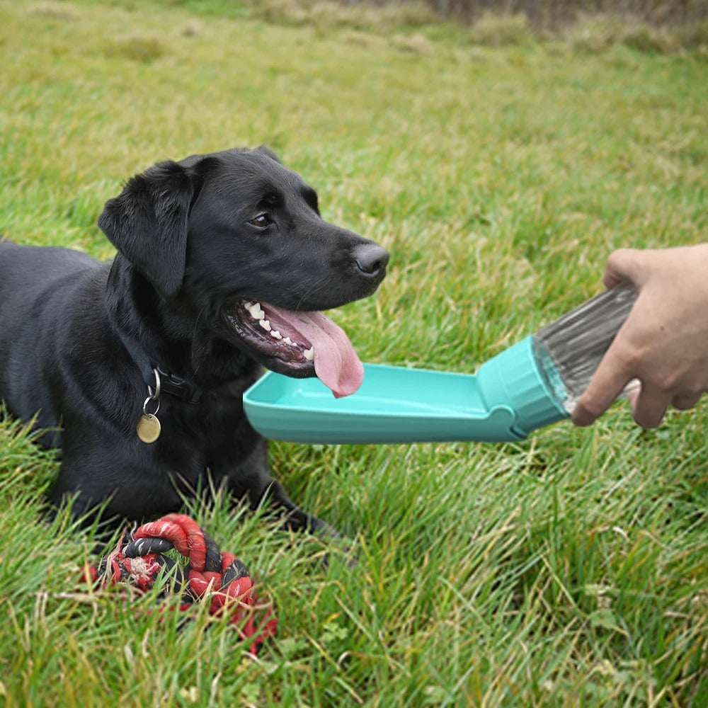 Tragbare Hunde-Wasserflasche Dispenser