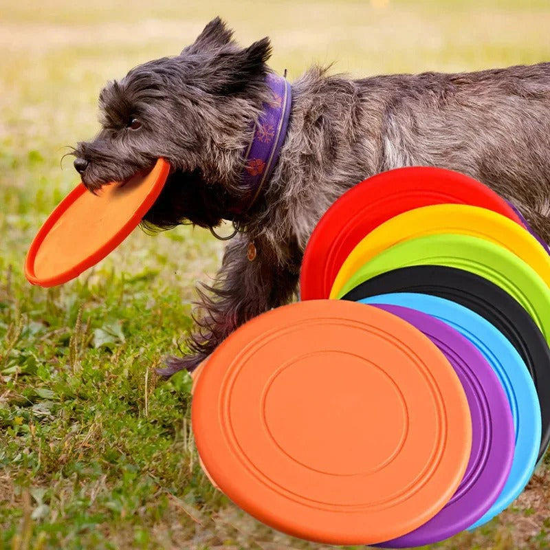 Fliegende Scheiben Hundespielzeug