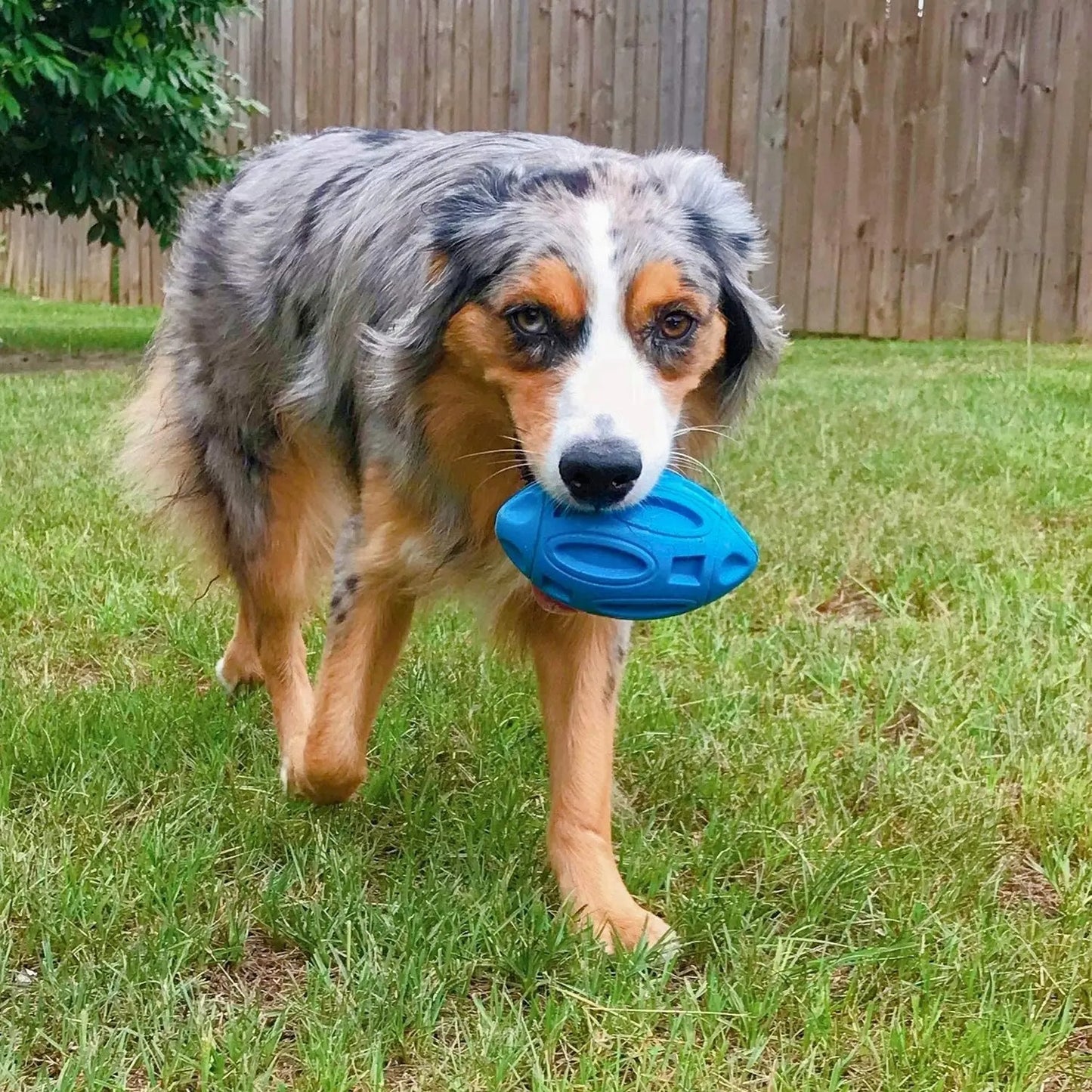 Quietschspielzeug für Hunde mit starkem Kauen