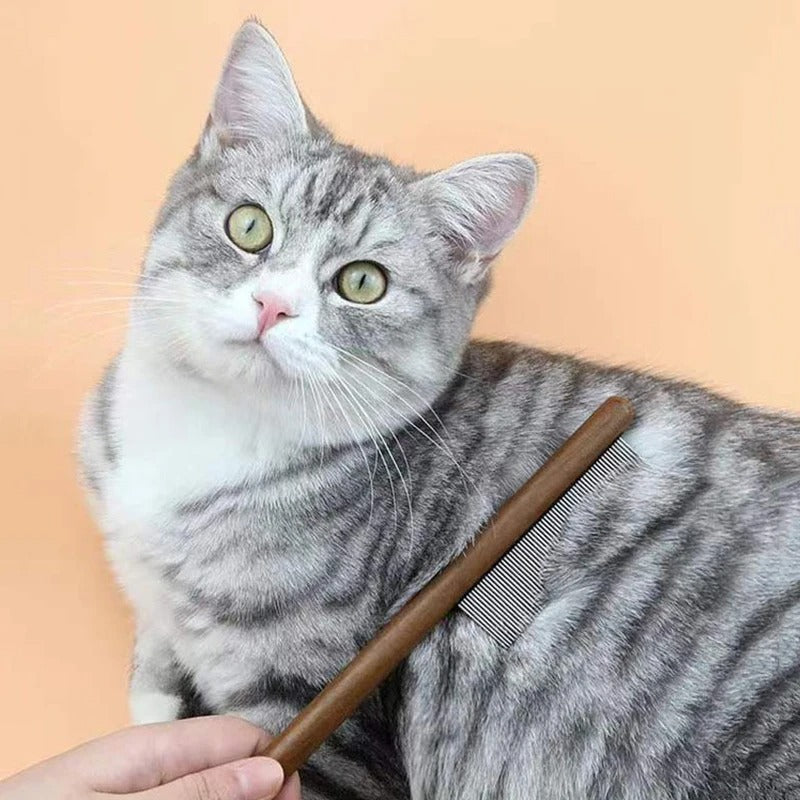Premium-Katzenkamm: Edelstahlpflege für ein gesundes Fell