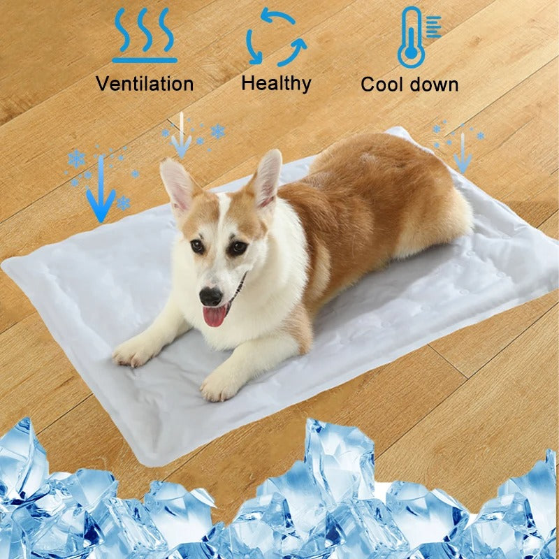 Kühlmatte für Hunde