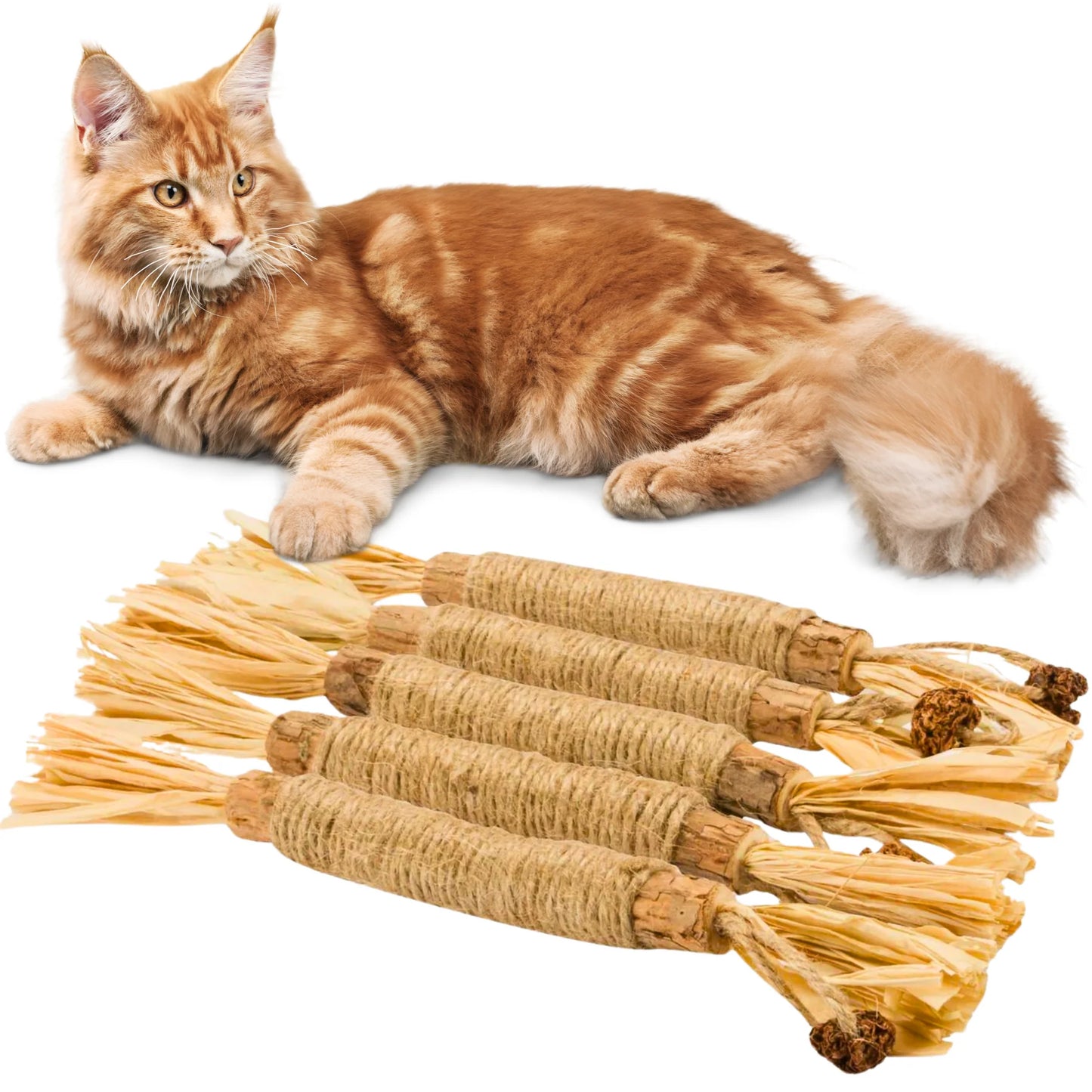 Katzenspielzeug– Interaktive Kau-Sticks für Katzen