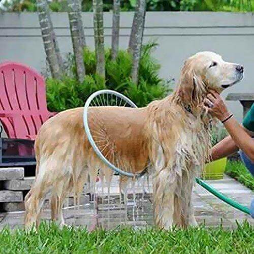 360° Hundeduschsystem - PfotenRein