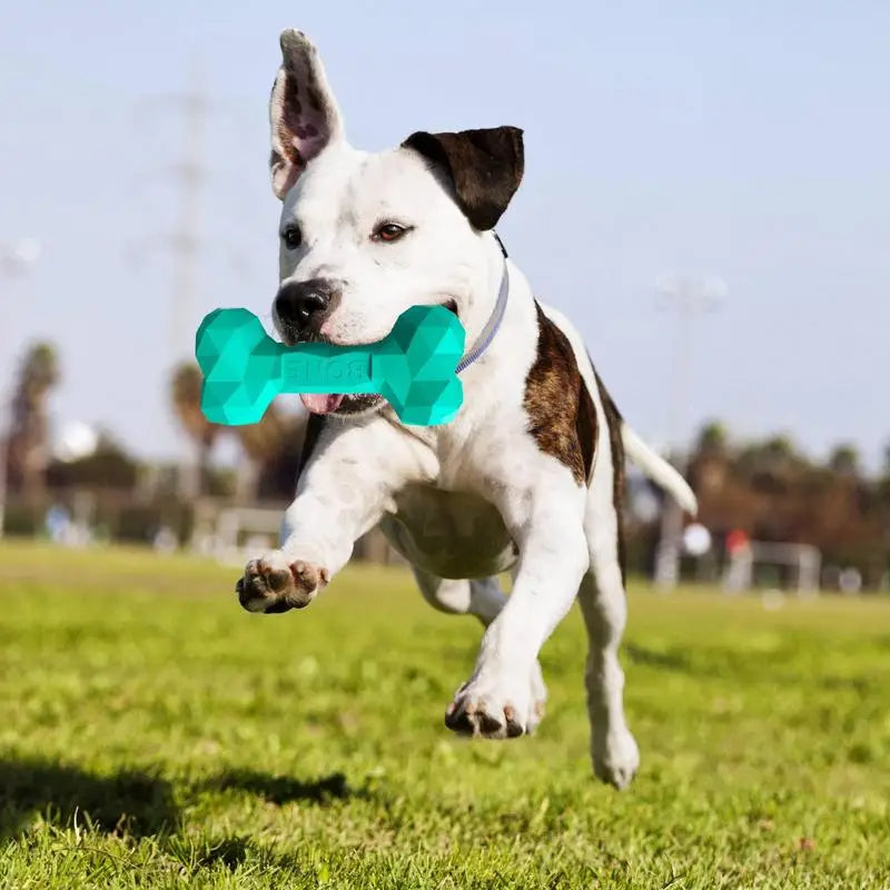 Interaktive Langlebiger Hunde Kauknochen