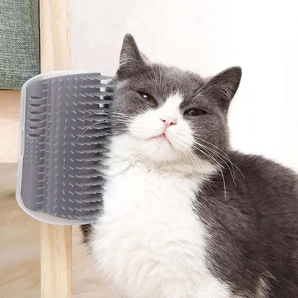 Katzen Wandbürste mit Katzenminze
