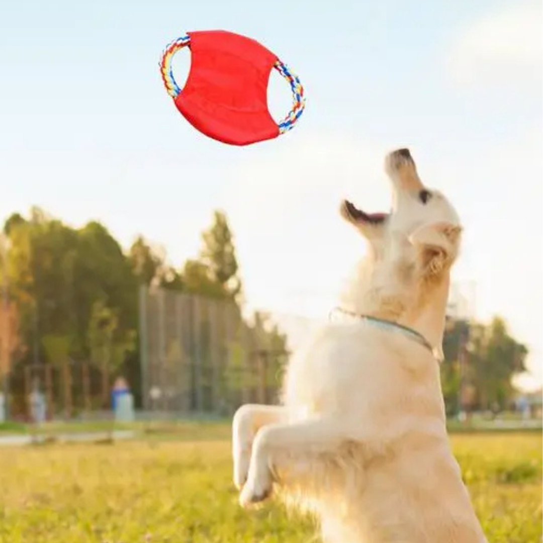 Langlebiges Knotenspielzeug für Hunde