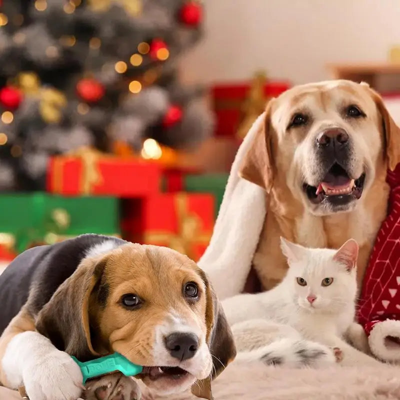 Interaktive Langlebiger Hunde Kauknochen