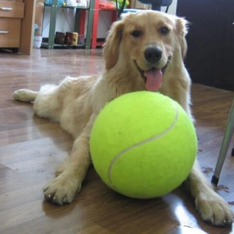 XL Tennisball für Hunde (24 cm) – MegaFang