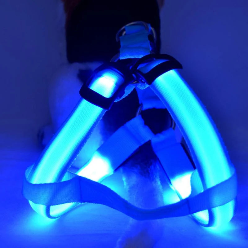 GlowSafe LED Hundegeschirr