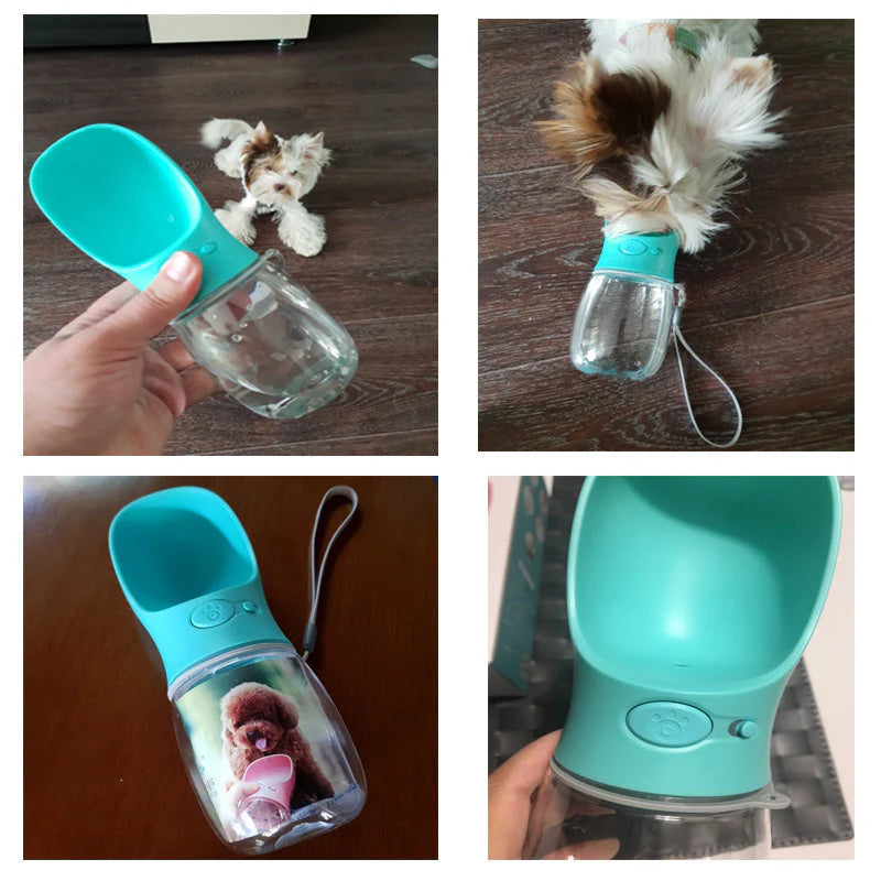 Hunde-Trinkflasche für unterwegs – TrinkBuddy
