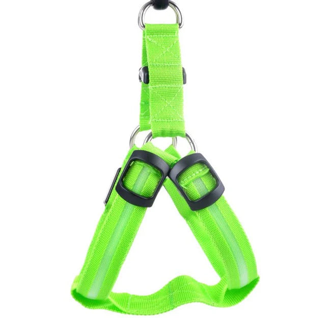 GlowSafe LED Hundegeschirr