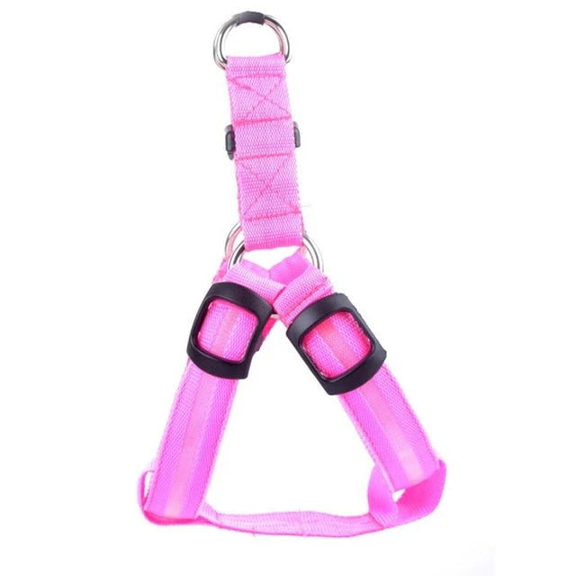 GlowSafe LED Hundegeschirr