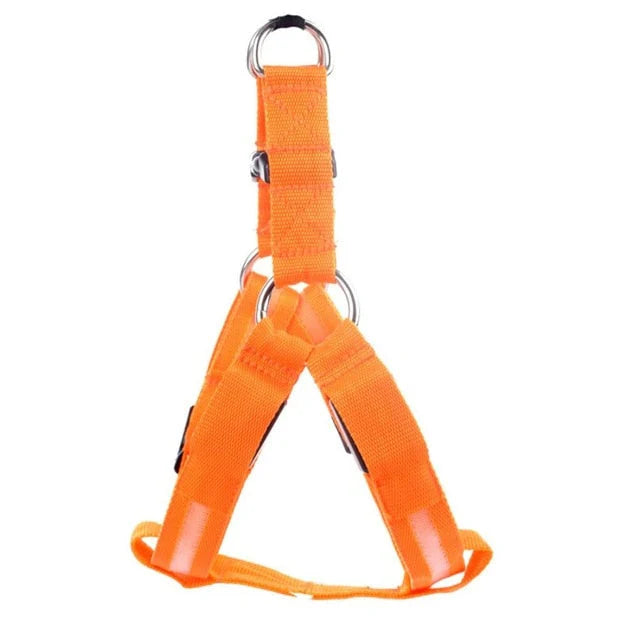 GlowSafe LED Hundegeschirr