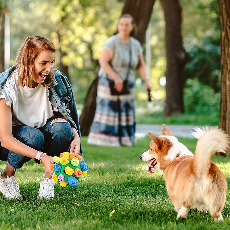 WuffWunder Interaktives Spielzeug
