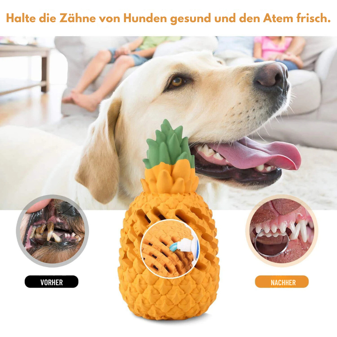 Unzerstörbare Ananas Kauspielzeug für Hunde