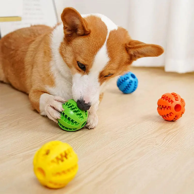 Hunde Leckerli Kauball zur Zahnreinigung