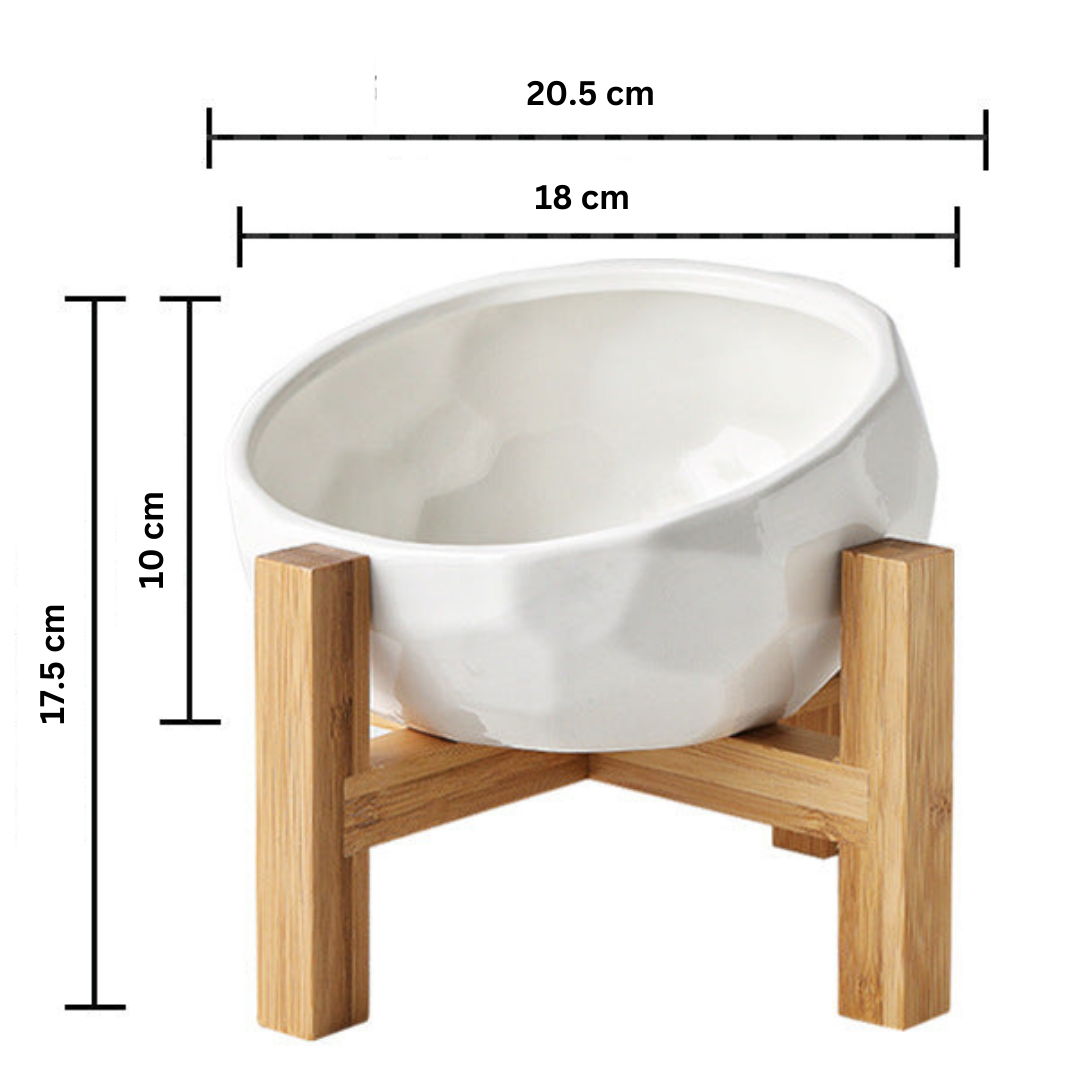Ergonomisch Erhöhte Futterschüssel für Haustiere