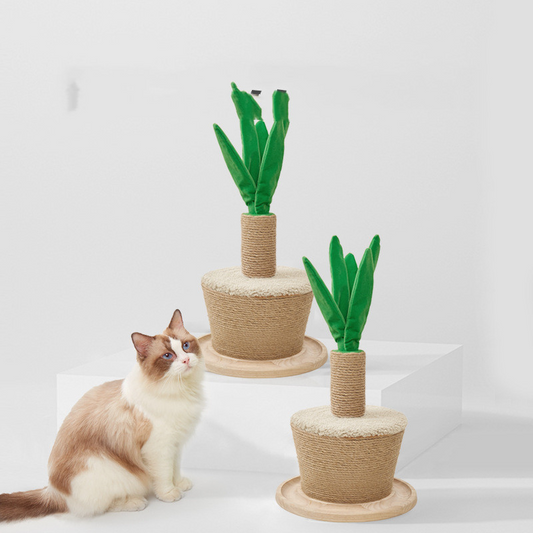 Blumentopf Kletterrahmen für Katzen