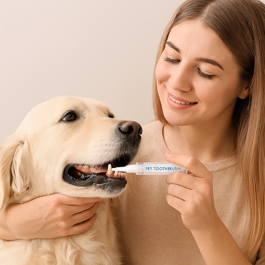 Zahnpflege Stift für Haustiere