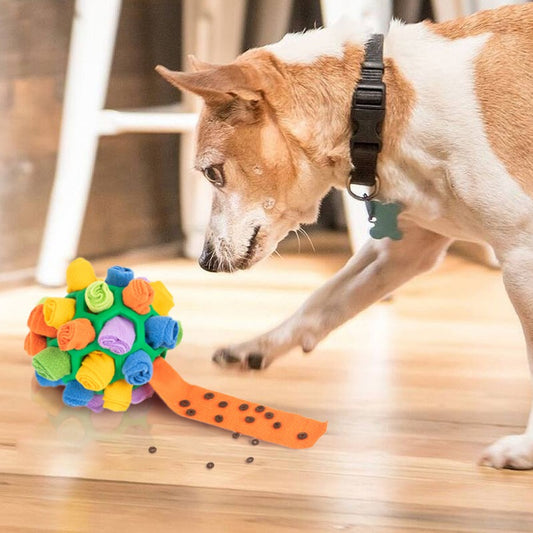 Schnüffelball - Leckerli Spielzeug