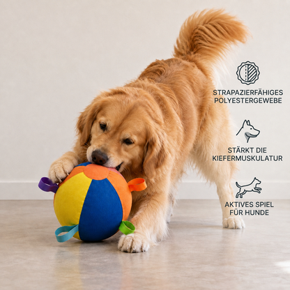 Interaktiver bunter Treibball mit Griffen für Hunde – Robustes Outdoor-Trainingsspielzeug