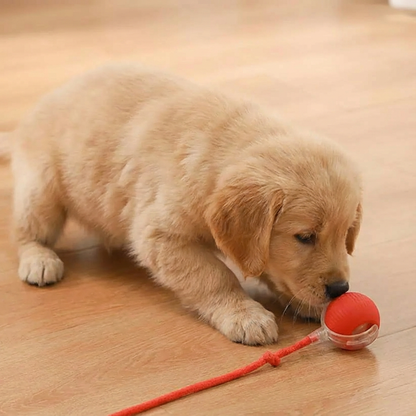 Interaktiver Spielball mit Schwanz für Hunde