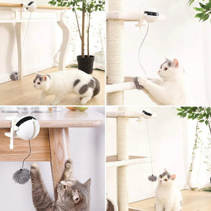 Interaktives Katzenspielzeug mit Automatischer Schnur