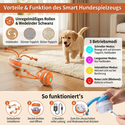 Robuster Hunde Spielball mit Bewegunssensor und Zugseil in Hundefarben