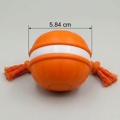 Robuster Hunde Spielball mit Bewegunssensor und Zugseil in Hundefarben