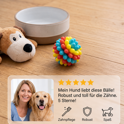 Bunter Hundekau-Ball mit Noppen