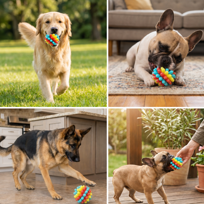 Bunter Hundekau-Ball mit Noppen
