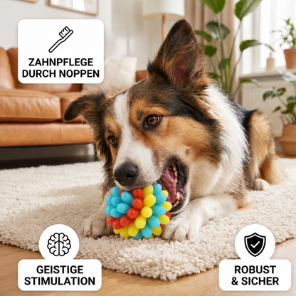 Bunter Hundekau-Ball mit Noppen