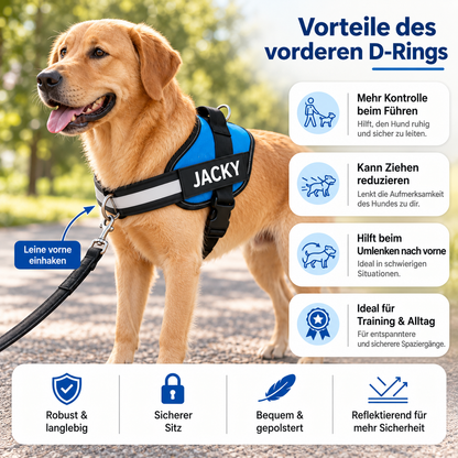 Personalisiertes Anti-Zug-Hundegeschirr mit vorderem D-Ring – zur Entlastung von Nacken und Schultern entwickelt