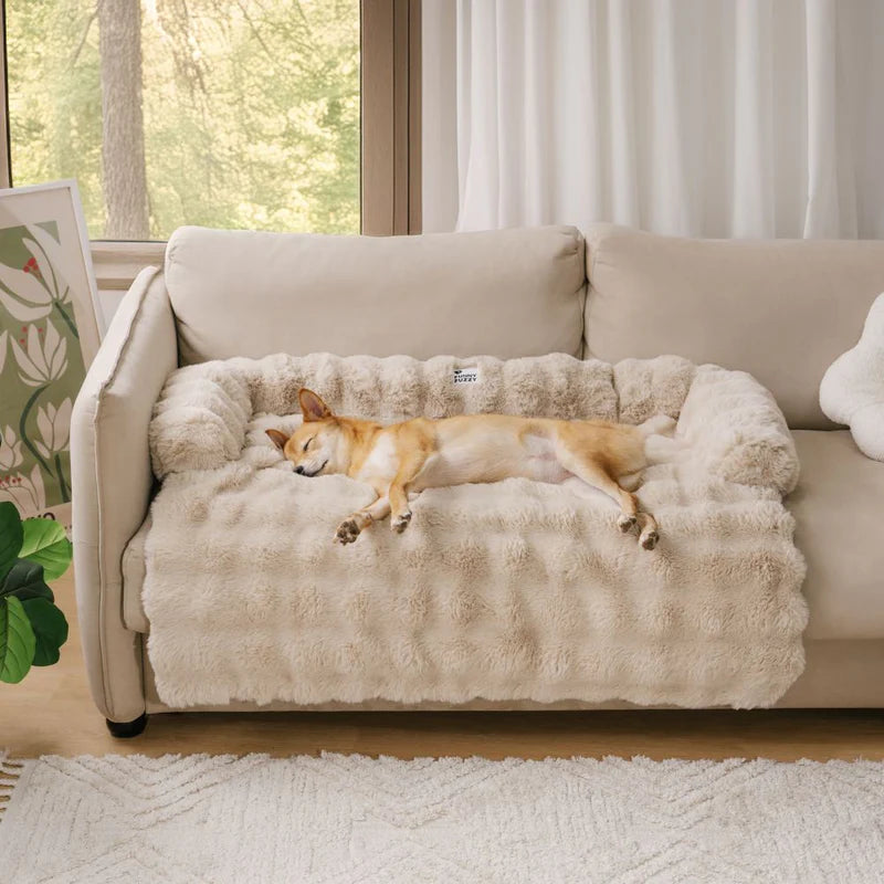 ComfyPaws Hundesofa-Bett