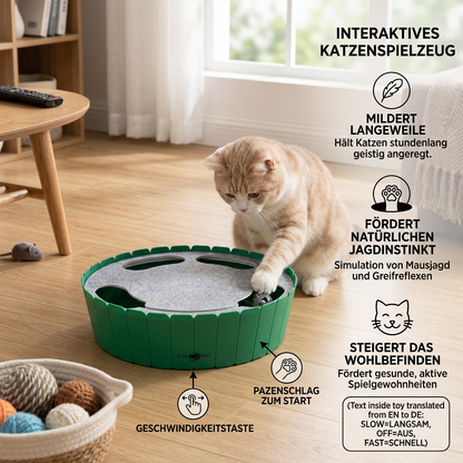 Interaktives Versteckspiel mit Maus für Katzen