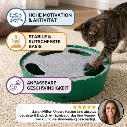 Interaktives Versteckspiel mit Maus für Katzen