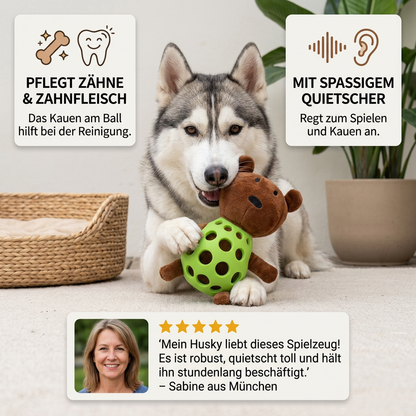 2-in-1-Bären-Hundespielzeug – Quietschendes Plüschtier & Zahnpflege-Kauspielball