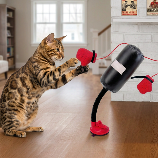 Robustes interaktives Katzen-Boxspielzeug mit Boxsack